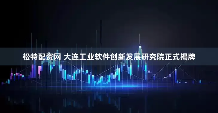 松特配资网 大连工业软件创新发展研究院正式揭牌