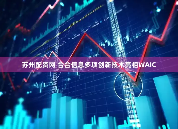 苏州配资网 合合信息多项创新技术亮相WAIC