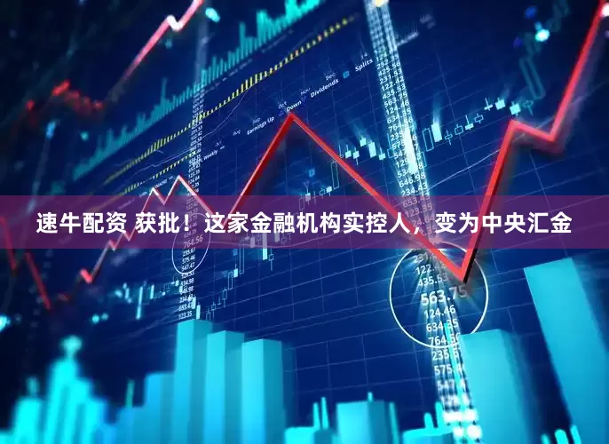 速牛配资 获批！这家金融机构实控人，变为中央汇金