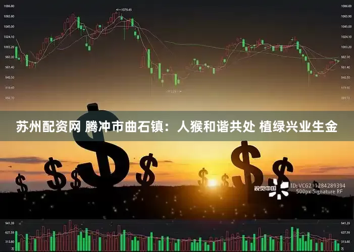 苏州配资网 腾冲市曲石镇：人猴和谐共处 植绿兴业生金